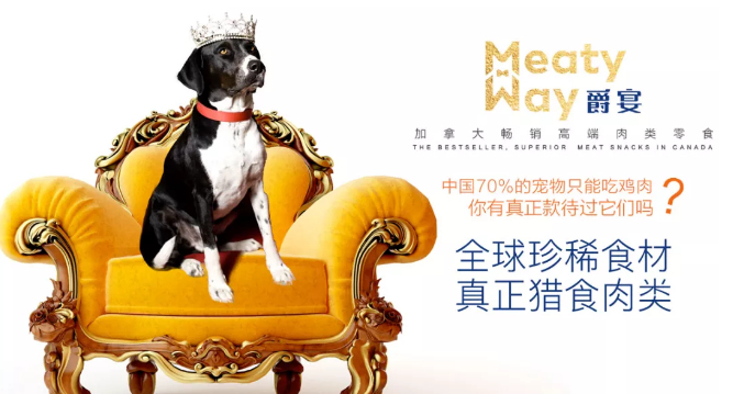 夜里狗為什么叫-狗為什么在夜里叫？