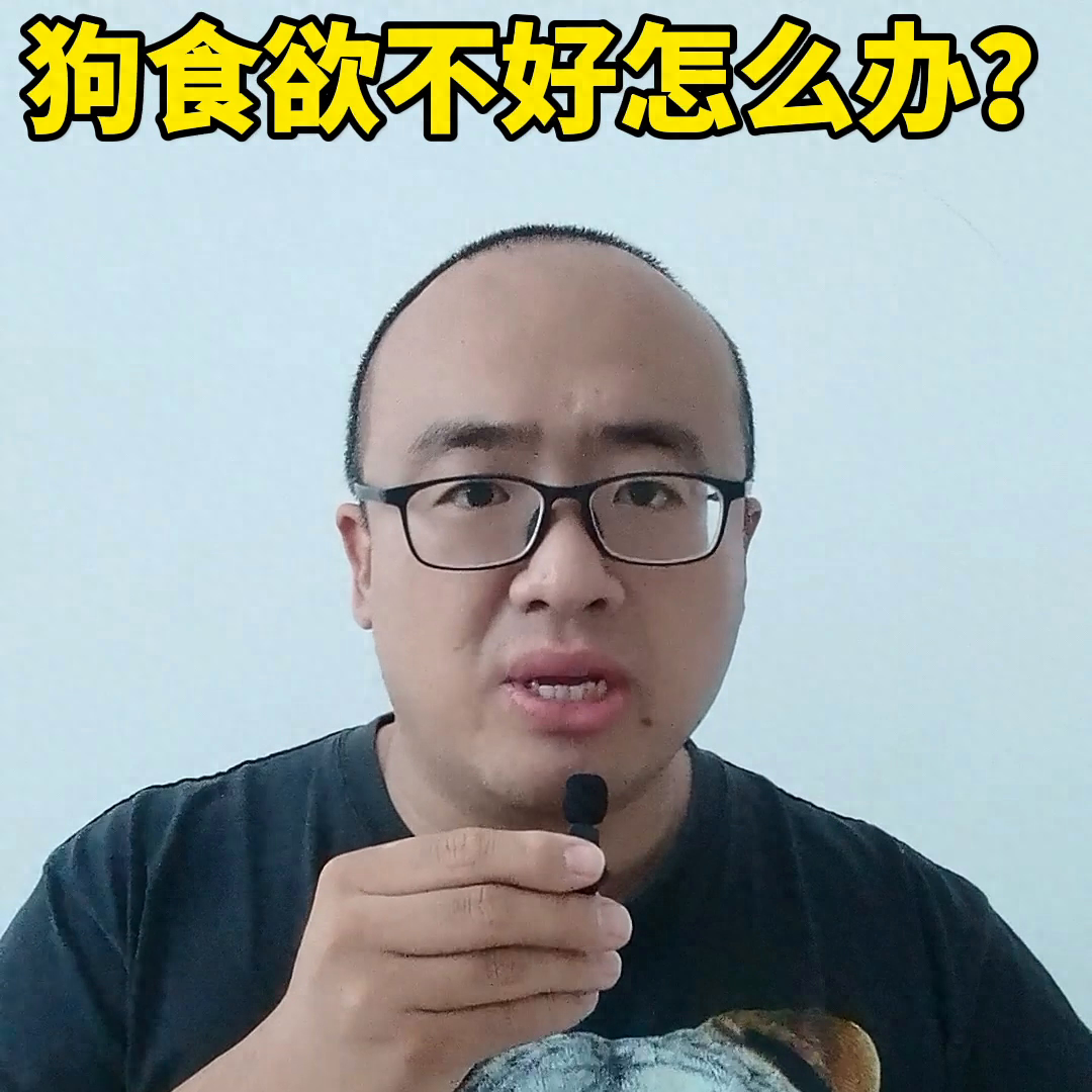 狗狗食欲狀態沒好是什么病_狗狗狀態好就是沒食欲_狗狗食欲狀態沒好是怎么回事
