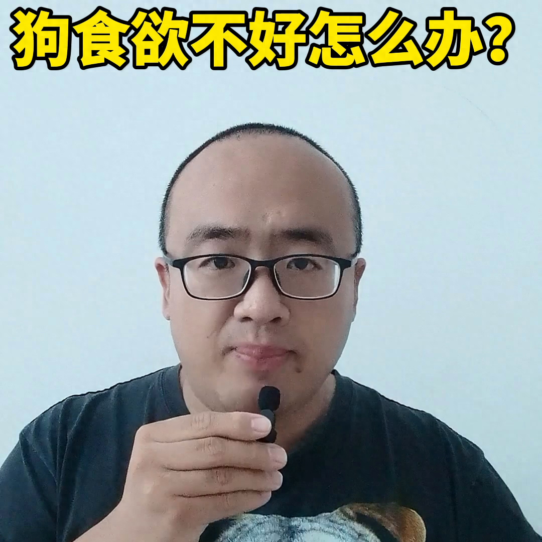 狗狗食欲狀態沒好是什么病_狗狗食欲狀態沒好是怎么回事_狗狗狀態好就是沒食欲