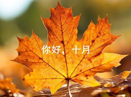 狗寶寶最忌哪個月生2