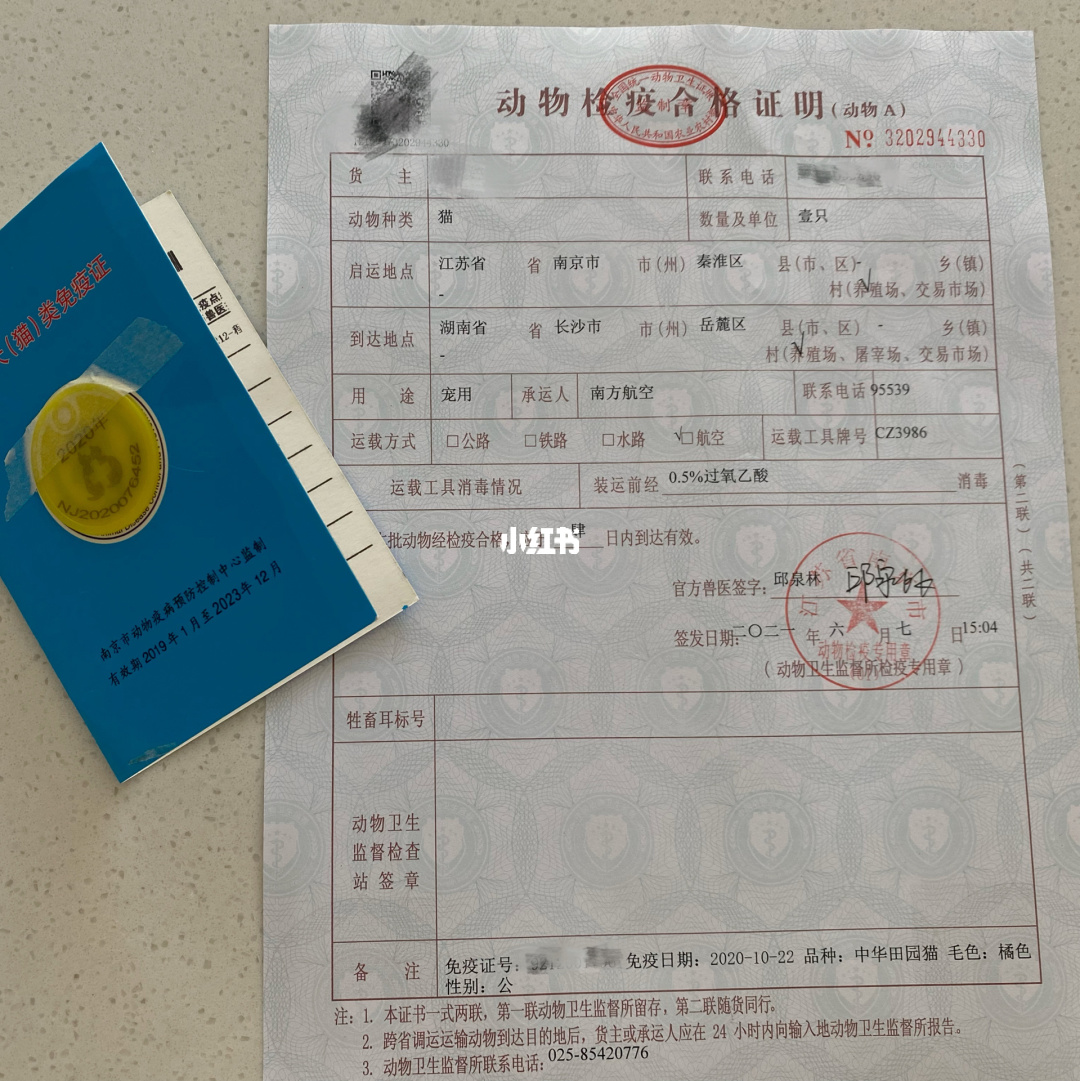 寵物航空托運（寵物航空托運價格表）