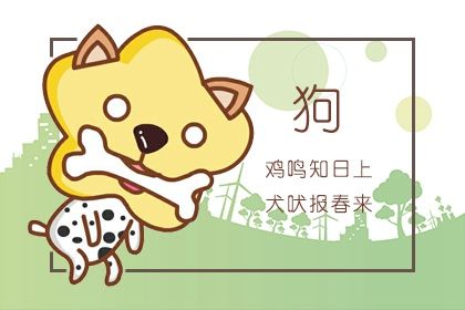 男屬狗女屬鼠婚配好嗎