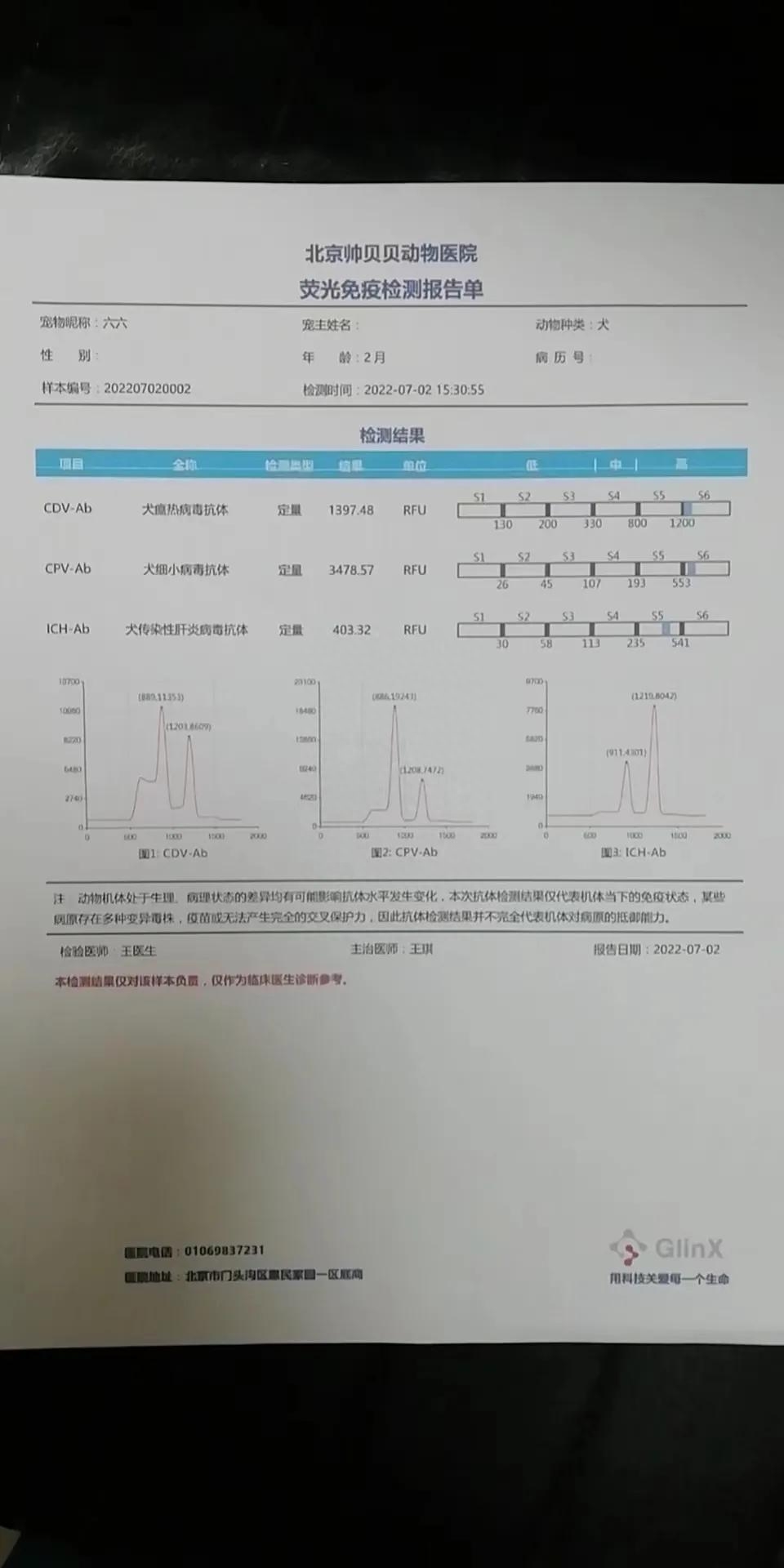養(yǎng)狗必須要做的一件事