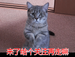 狗狗吐瀉管用藥吃下多久_小狗吐瀉用什么藥_狗狗上吐下瀉吃什么藥管用