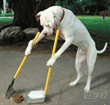 怎樣訓練寵物狗狗大小便？