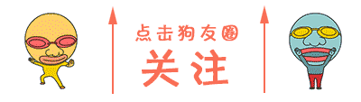 【狗友必知】狗狗為什么會拉肚子？狗狗拉肚子怎么辦？