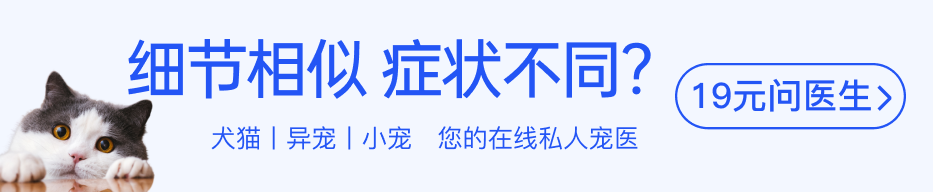 狗狗腸胃炎吃什么藥最管用_狗狗腸胃炎管用藥吃多少天_狗狗腸胃炎的藥
