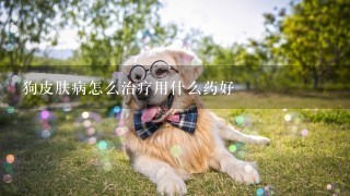 狗皮膚病怎么治療用什么藥好