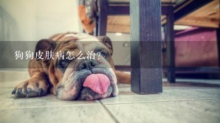 狗狗皮膚病怎么治？