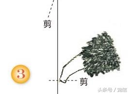 指甲剪狗狗指甲鉗怎么用_用剪刀剪狗指甲_狗指甲怎么剪