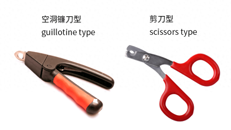 狗修指甲剪多少錢_指甲刀給狗剪指甲_狗指甲怎么剪
