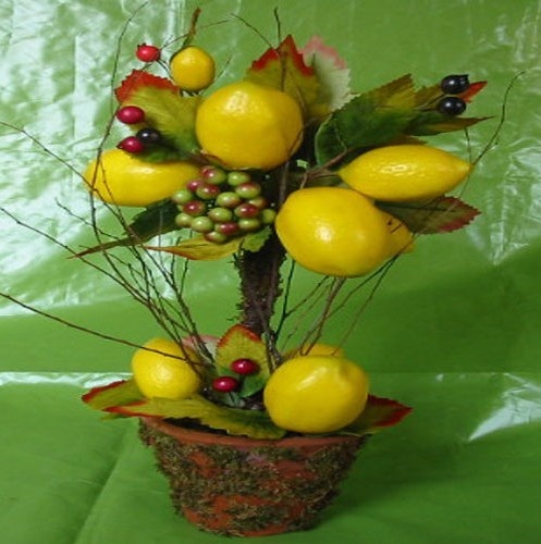 凈化室內(nèi)空氣清涼花卉綠植推薦及養(yǎng)護(hù)知識(shí)