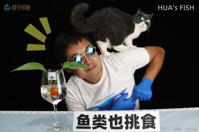 觀賞魚可以隨便喂？魚不同，口味不同，亂喂會讓你很尷尬的