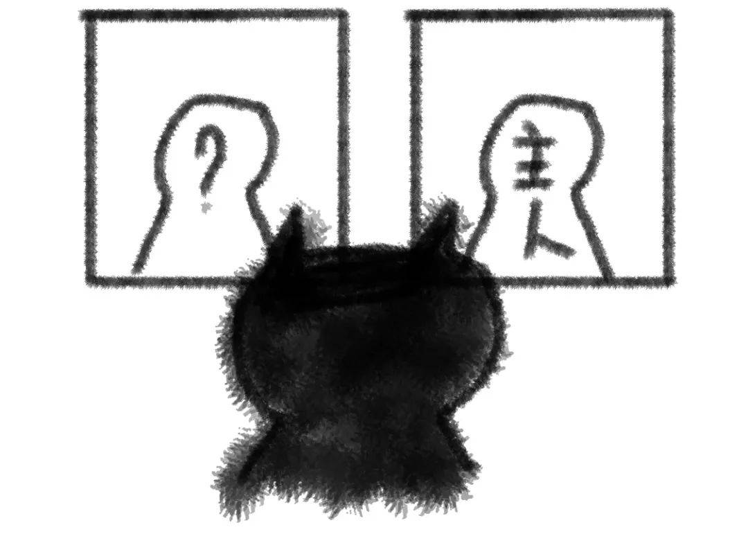 怎么確定貓認(rèn)主人了_貓咪確認(rèn)主人_貓認(rèn)定主人的表現(xiàn)