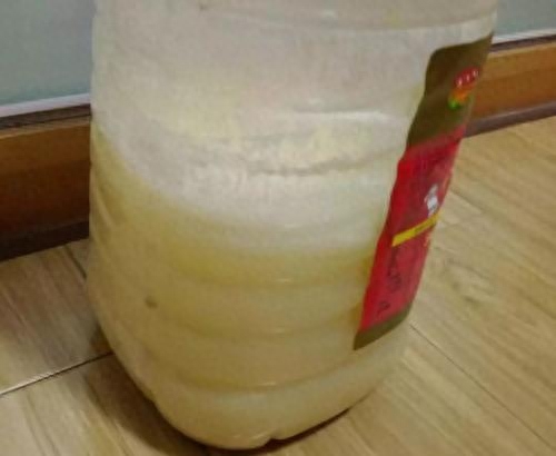 多肉怎么施肥才能更旺盛_旺盛施肥多肉才能開花嗎_旺盛施肥多肉才能生根嗎
