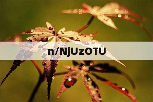 貓頭鷹是不是屬于幾級(jí)保護(hù)動(dòng)物