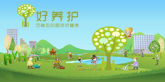 盤點十種不需要陽光的室內植物