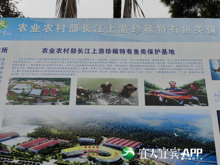 附近的觀賞魚養(yǎng)殖基地_觀賞養(yǎng)殖基地附近魚塘有哪些_最近的養(yǎng)魚基地