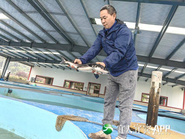 最近的養(yǎng)魚基地_附近的觀賞魚養(yǎng)殖基地_觀賞養(yǎng)殖基地附近魚塘有哪些
