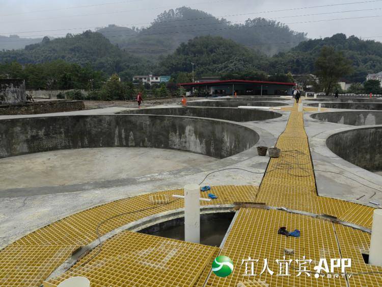 最近的養(yǎng)魚基地_附近的觀賞魚養(yǎng)殖基地_觀賞養(yǎng)殖基地附近魚塘有哪些