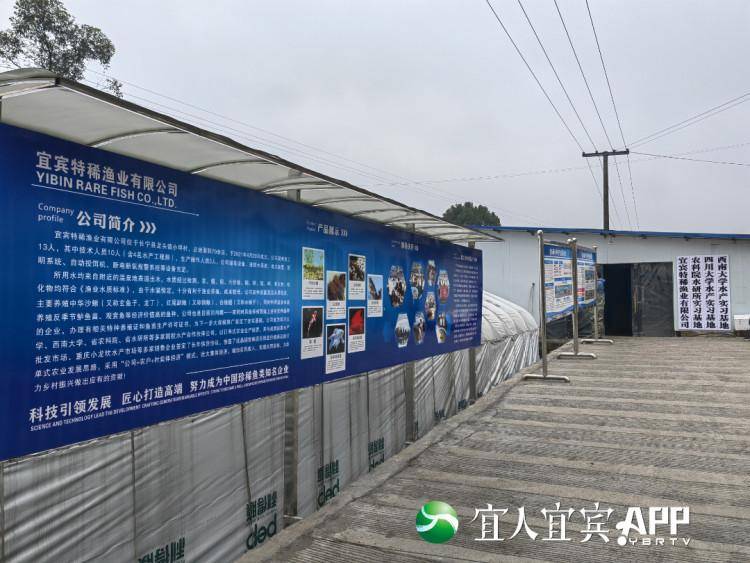 最近的養(yǎng)魚基地_附近的觀賞魚養(yǎng)殖基地_觀賞養(yǎng)殖基地附近魚塘有哪些