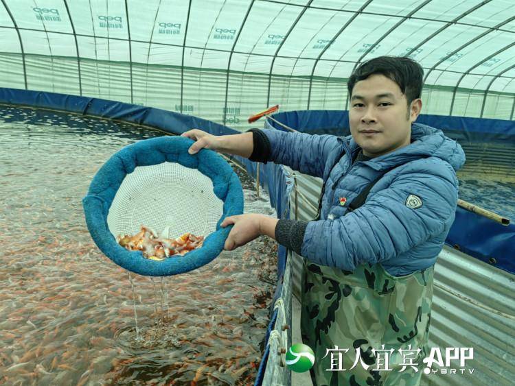 觀賞養(yǎng)殖基地附近魚塘有哪些_附近的觀賞魚養(yǎng)殖基地_最近的養(yǎng)魚基地