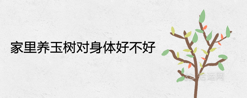 家里養玉樹對身體好不好 可以在客廳養殖嗎
