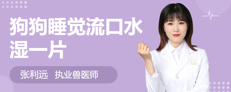 狗狗睡覺流口水濕一片