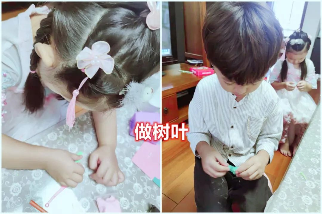 送花寫給老師的話_送給老師的花_送給老師花的花語