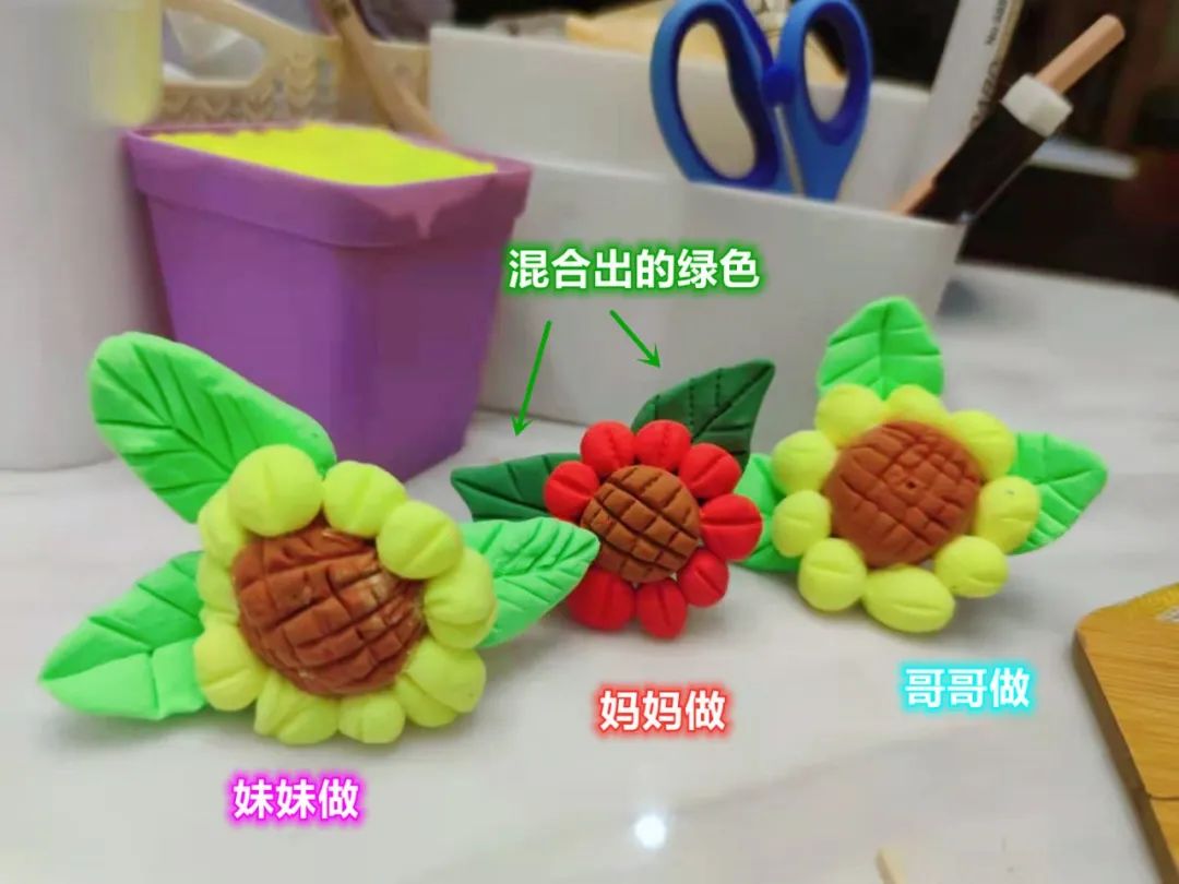 送給老師花的花語_送花寫給老師的話_送給老師的花