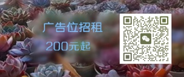 多肉植物怎么澆水
