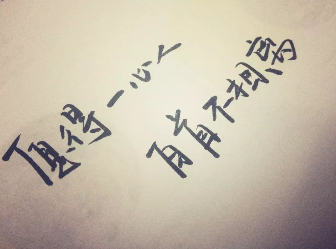 送白玫瑰代表什么意思_送七朵康乃馨花代表啥意思_送玫瑰花代表什么意思