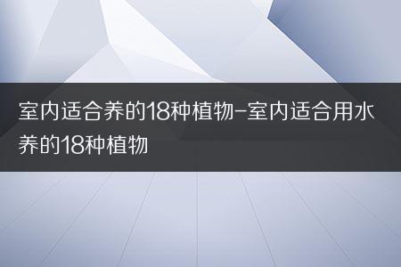 室內(nèi)適合養(yǎng)的18種植物-室內(nèi)適合用水養(yǎng)的18種植物