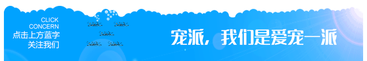 養魚不易，開水族店賣觀賞魚也有學問哦~