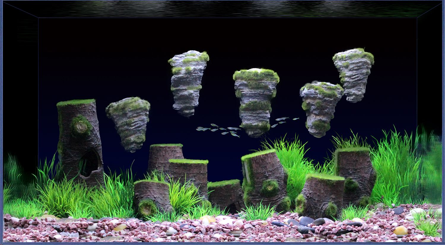 觀賞魚缸視頻_大型觀賞魚魚缸視頻_視頻觀賞魚缸怎么做