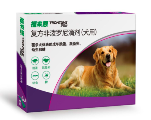 小狗身上有跳蚤怎么弄_跳蚤在狗身上_小狗弄跳蚤身上有紅點