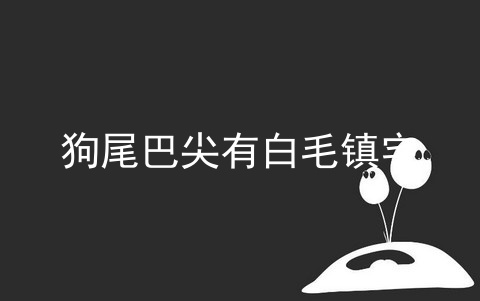 狗尾巴尖有白毛鎮宅