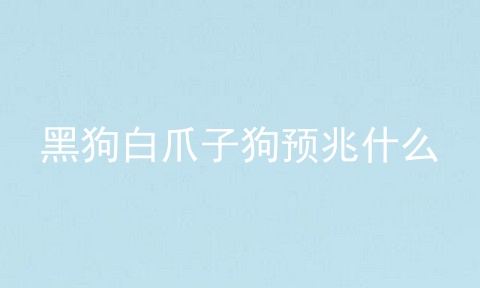 黑狗白爪子狗預(yù)兆什么