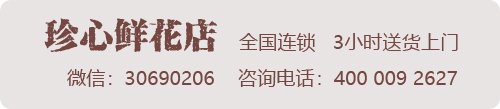 生日用錢做的鮮花_生日用錢做的鮮花_生日用錢做的鮮花