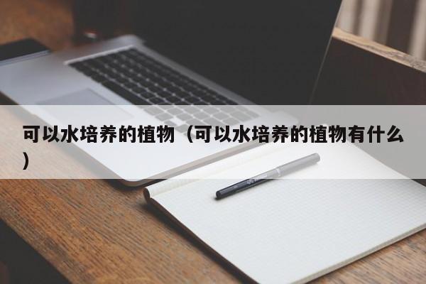 可以水培養的植物（可以水培養的植物有什么