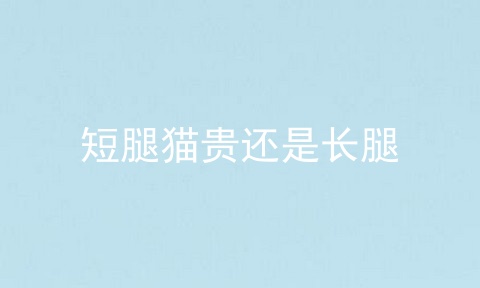 短腿貓貴還是長(zhǎng)腿