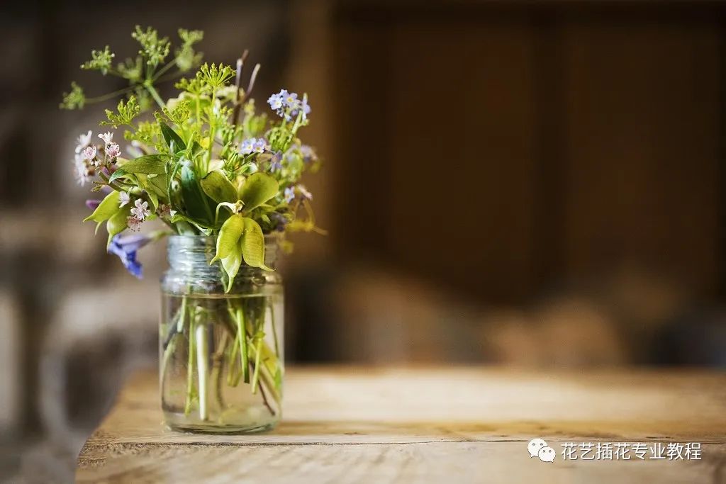 鮮花睡蓮的花期有多長_鮮花睡蓮水養方法視頻_鮮花睡蓮水養方法
