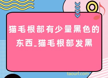 一、貓毛根部發(fā)黑