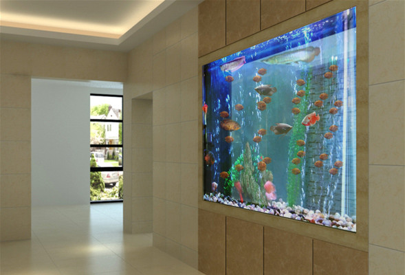 養魚養單不養雙是什么意思