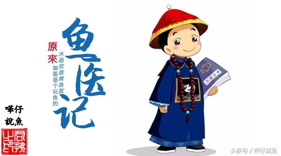 寵物魚身上出現(xiàn)神秘黑斑，對魚有沒有傷害？