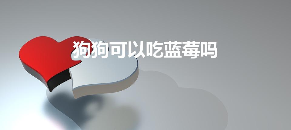狗狗可以吃藍莓嗎（狗狗十大禁忌水果)