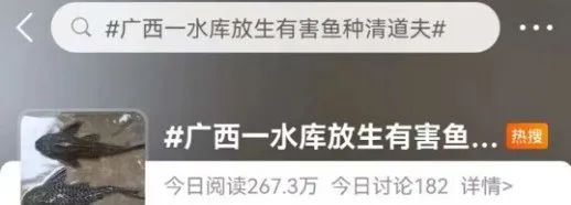 水庫放生“清道夫”，后果有多嚴重？