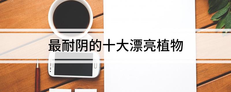 最耐陰的十大漂亮植物