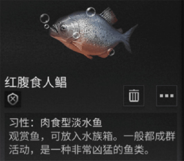 《明日之后》新增2種觀賞魚，這種魚會吃同類，建議隔離！