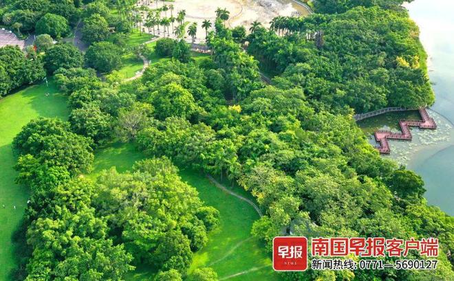 南寧市花卉公園門票多少錢_2021年南寧花卉公園_南寧花卉公園